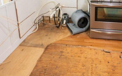 Water Damage Restoration and Build-Back: What Seattle Homeowners Should Expect